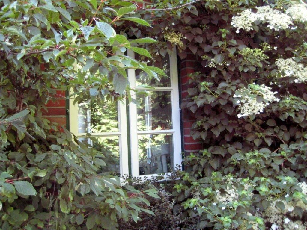 Ferienhaus Marsch Auf Foehr Borgsum Экстерьер фото