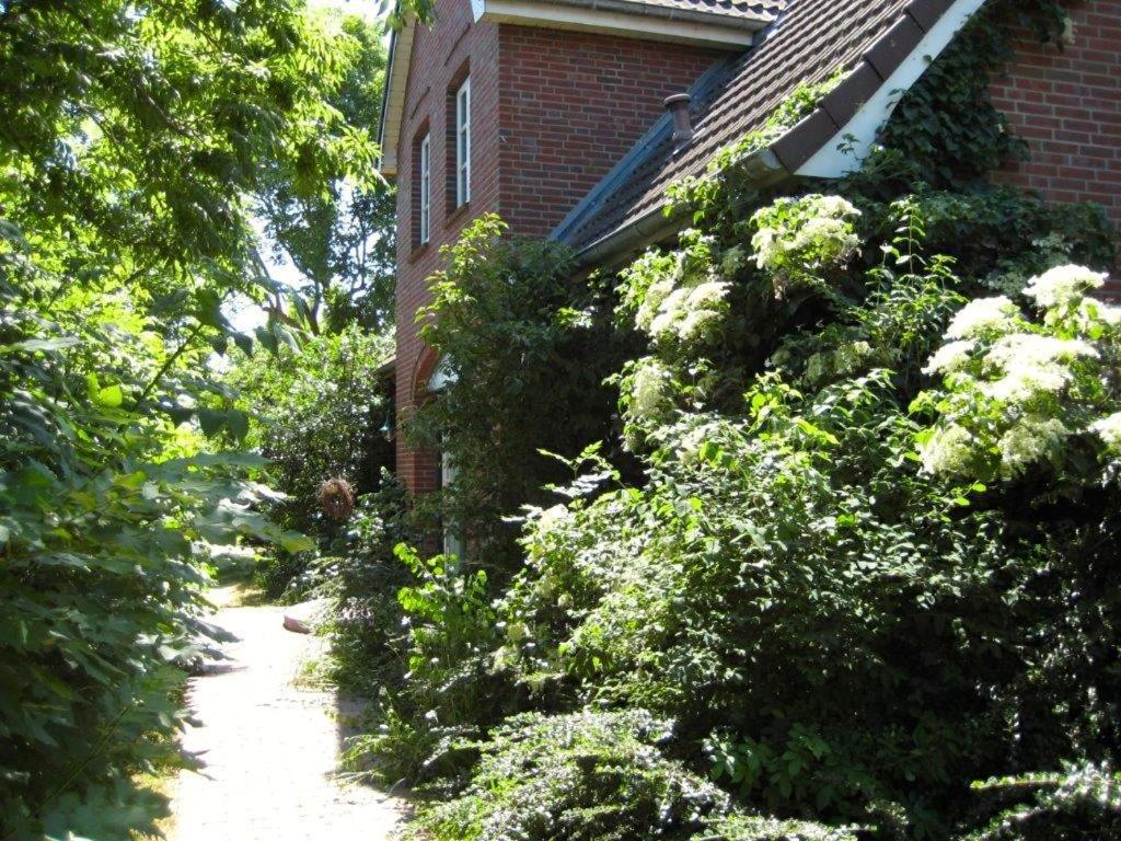 Ferienhaus Marsch Auf Foehr Borgsum Экстерьер фото
